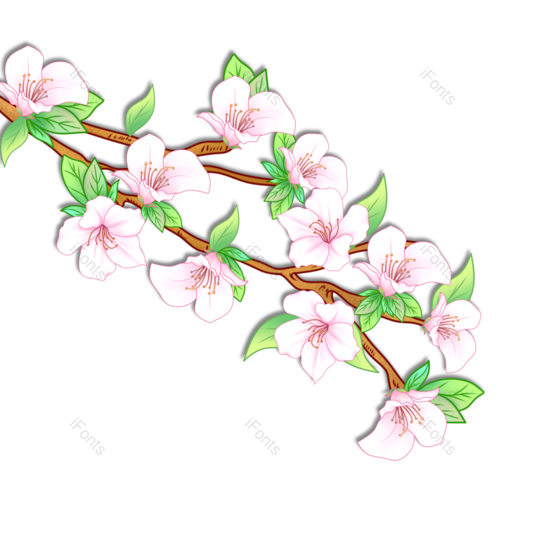 花朵图片,植物元素,手绘PNG,粉色免抠素材